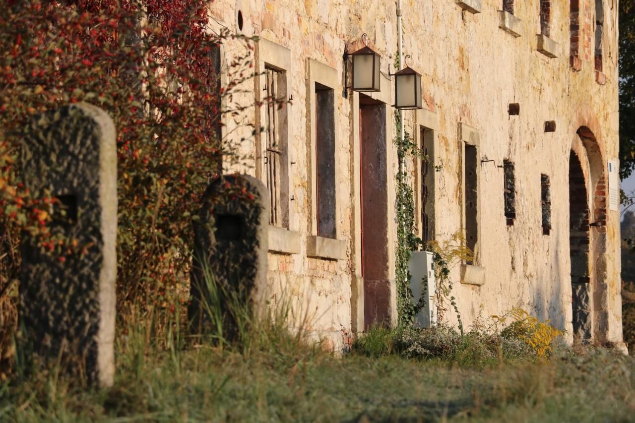 Фермерские дома Agroturystyka Dom pod Sową Nawojów Łużycki