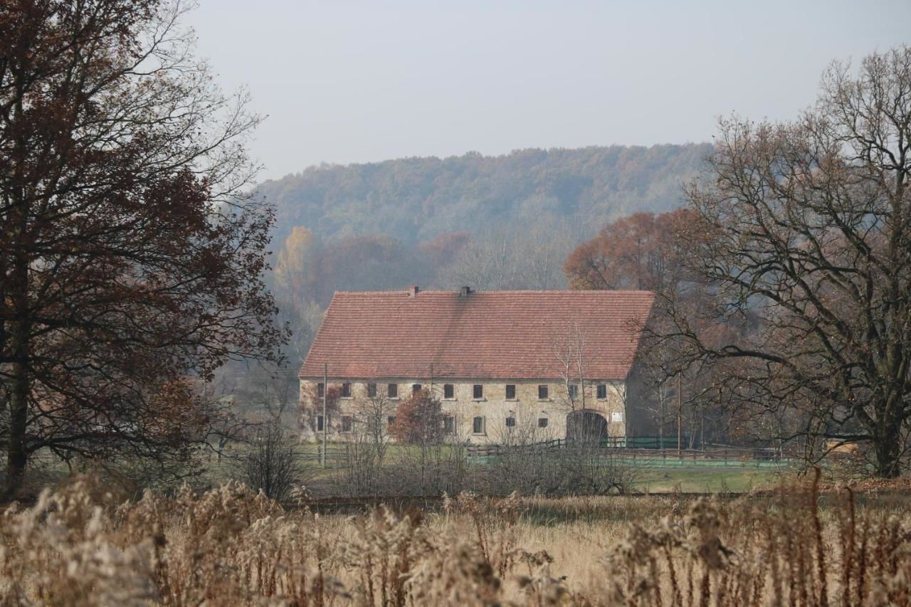 Фермерские дома Agroturystyka Dom pod Sową Nawojów Łużycki-27